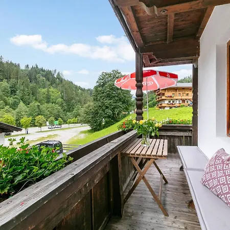 Zellner 1 Und 2 Und 3 Apartment Alpbach